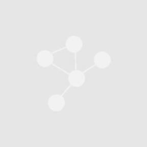 Logosoup